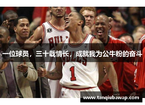 一位球员，三十载情长，成就我为公牛粉的奋斗