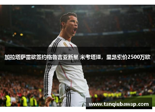 加拉塔萨雷欲签约格鲁吉亚新星 米考塔泽，里昂索价2500万欧